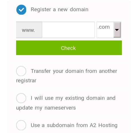 A2 Hosting Choose Domain