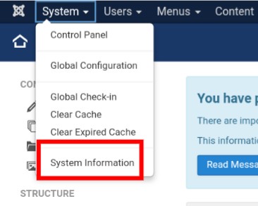 System - System Information